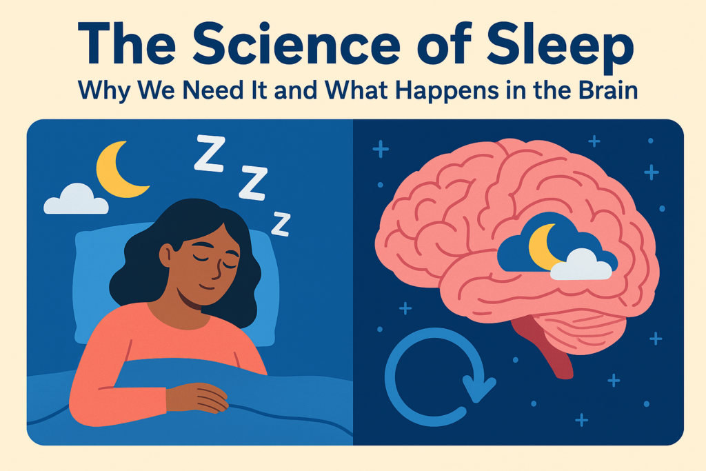The Science of Sleep Why We Need It and What Happens in the Brain